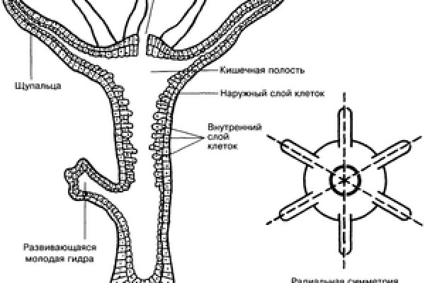 Кракен официальная ссылка kraken torion