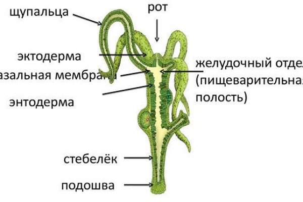 Вход в кракен